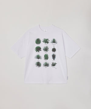 MEZCAL Tee / Designed by SiT