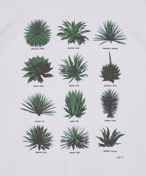 MEZCAL Tee / Designed by SiT